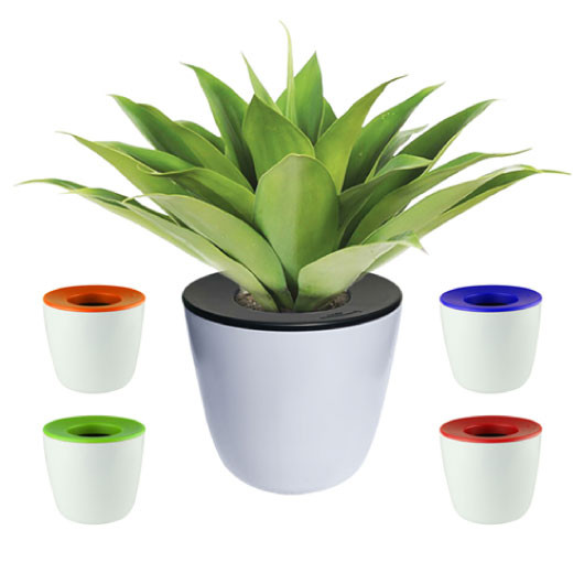 Mini Desk Plant Pots